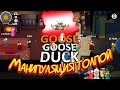 Goose Goose Duck - Манипуляции игроками  Злой кролик и война с тучей