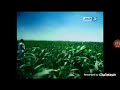 فاصل قناة النهار القديم 2013 4 