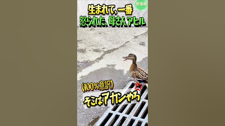 納得出来ると激怒の理由