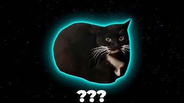 Maxwell The Cat Sound Variations in 30 Seconds