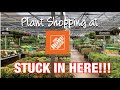 Plant Shopping at Home Depot Big Box Store || STUCK IN HERE!!!