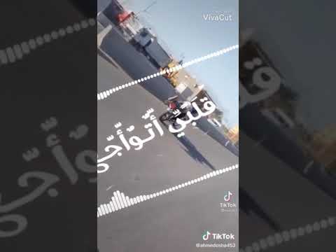 سابق مكان هوجان ٣ دمياط فوق الجميع 