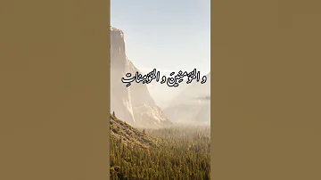إن المسلمين و المسلمات و المؤمنين و المؤمنات بصوت الشيخ صلاح أبو خاطر 