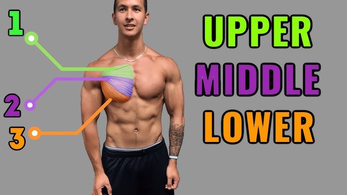 The Lower Chest Solution (Get Defined Pecs!) - Youtube
