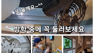서대문자연사박물관 영상
