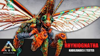 RHYNIOGNATHA - HABILIDADES E MUITOS TESTES - ARK SURVIVAL EVOLVED