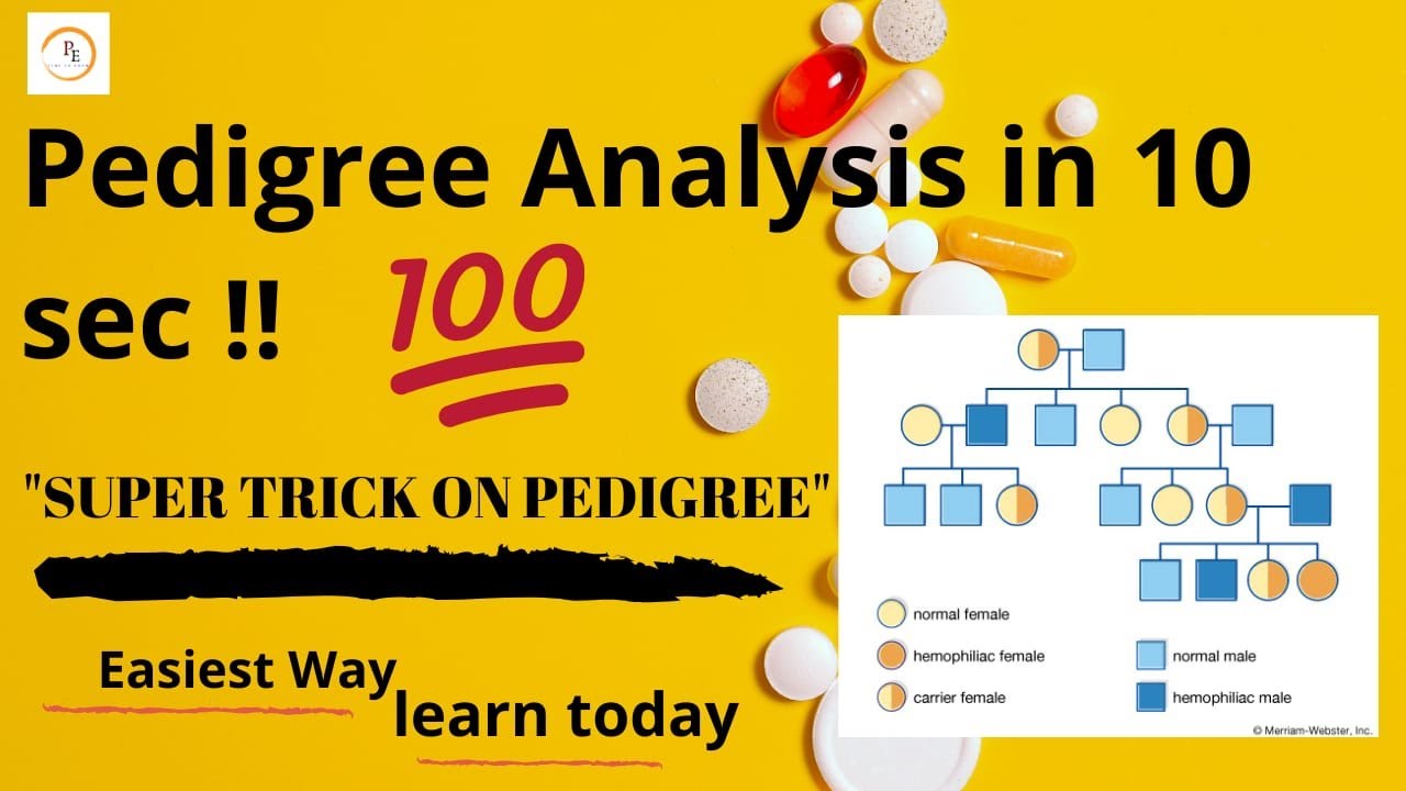 PEDIGREE ANALYSIS TRICK JUST IN 10 SECOND YouTube pedigree-analysis-trick-just-in-10-second-youtube