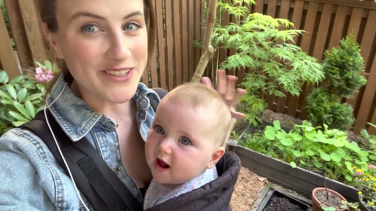 An Update On Garden Worm Composting (Part 2) & Harvesting Ratstail Radishes | Small Garden