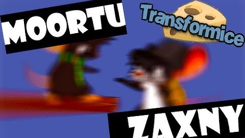 Transformice Racing - Moortu & Zaxny