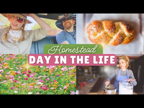 a beautifully simple day in our life on the homestead!