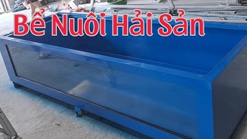 Bể Chứa Hải Sản (290x110x60)🐬 Nhựa frp nguyên khối | Giang Minh Composite