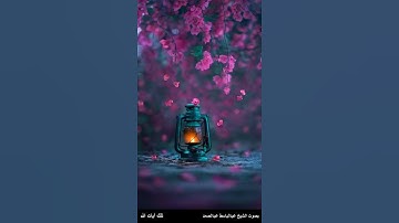 وإذا لقوا الذين آمنوا قالوا آمنا وإذا خلوا إلى شياطينهم .-سورة البقرة آية 14 بصوت عبدالباسط عبدالصمد