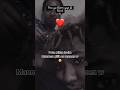 Teddy Hashtag - Pou Yo Blom Yo Fè Rimè #haitian #music
