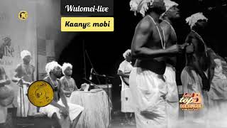 Wulomei-live - kaanye mobi