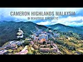 Cameron Highlands Malaysia In Cinematic Vlog | Kea Farm | Mossy Forrest | BOH Sungei Palas