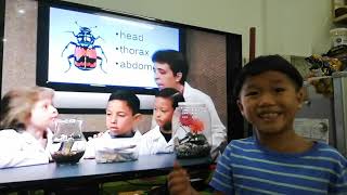 Insects - Acellus Science grade 2
