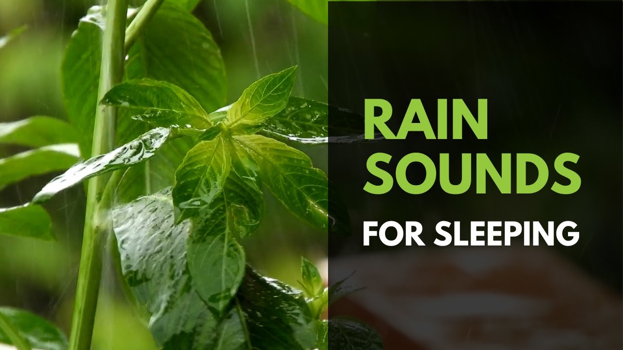 Rain sounds for sleeping and relaxing - 1 hour | ASMR rain sounds - YouTube