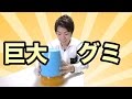 【巨大】バケツグミ作ってみた！