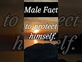 Male Fact #facts #pyscologyfacts #psychologyfacts #physcology #quotes #psycologyfacts #motivation