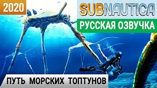 :      SUBNAUTICA 2020 pc 