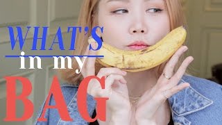 what's in kindacool's  bag ? /카인다쿨의 가방에는 뭐가 있을까 ? / kindacool x findgem