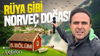 картинка: Вот норвежские фьорды - Я НЕ МОГ ПОВЕРИТЬ В ТОЕ, ЧТО УВИДЕЛ!!!