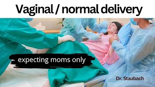 How Labor & Delivery REALLY Works (Animation)