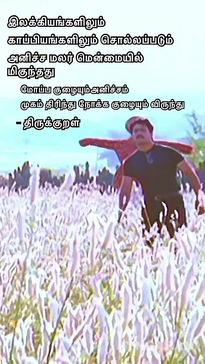 தமிழும் இலக்கிய சுவையும்- அனிச்ச மலர்