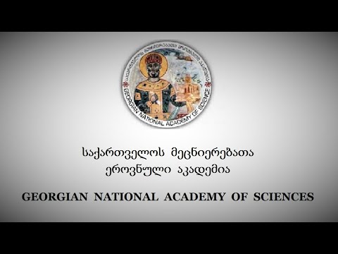 მეცნიერებათა აკადემიაში შემდგარი საბჭოს ჩანაწერი თემაზე: გაუხსნელი გზავნილი X  საუკუნედან.