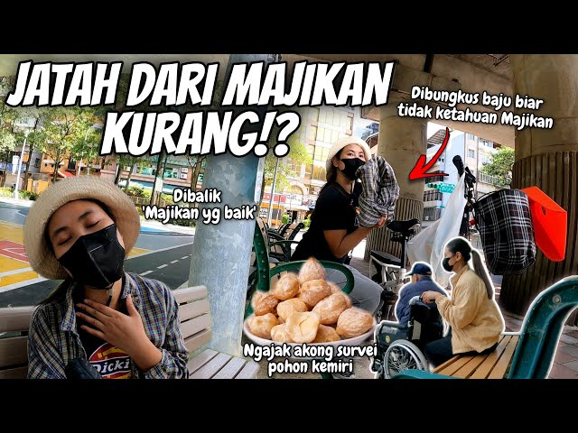 JATAH DARI MAJIKAN KURANG⁉️ SEMBUNYI² BIAR TIDAK KETAHUAN‼️ class=