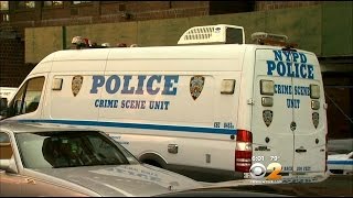 Celebrity Armed Suspect Shot, Killed By Police In The Bronx Wealth