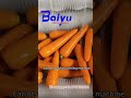Carrots washing peeling machine