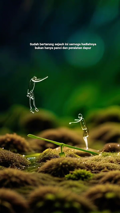 story #shorts #realita #quotes #motivasi #intoverts