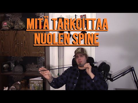 MITÄ TARKOITTAA NUOLEN