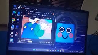 I Accidentally Hotel Mario Has Bsod V2