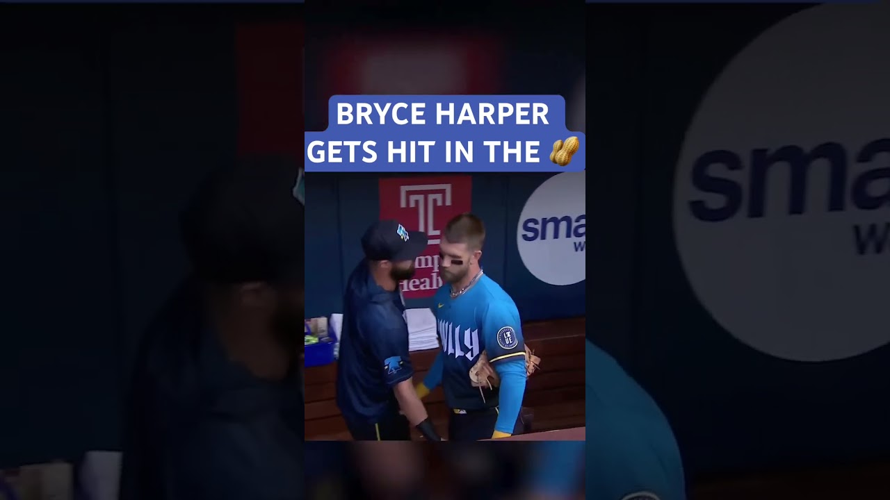 BRYCE HARPER GETS HIT IN THE NUTS! 