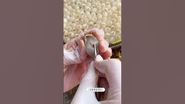 Cách bóc lột bỏ hột nhãn cực nhanh