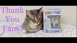 Funko Pop Of Tabby Cat | A Special Gift from creator TL Customs by さくらちゃんメモリー Sakura Chan Memory 156 views 7 months ago 2 minutes, 20 seconds