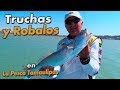 Robalos y Truchas  (En la Pesca Tamaulipas)