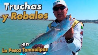 Robalos y Truchas (En la Pesca Tamaulipas)