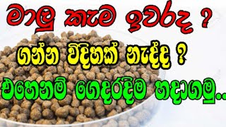 HOW TO MAKE DIY FISH FOOD AT HOMEගෙදරදිම හදන්න පුලුවන් මාළු කෑම |  (homemade fish food)