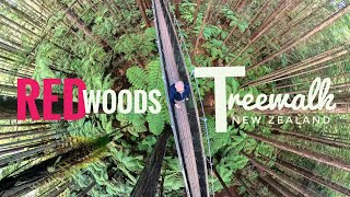 Would You Dare to Walk Here? 🌲 Redwoods Treewalk, New Zealand