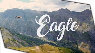 Follow An Eagle Auron