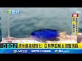 全球氣候與環境影響