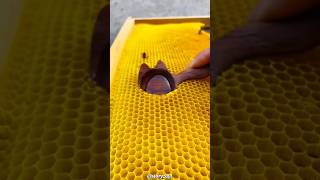 Famous don't use this sound #sound #smallcreator #asmr Wealth