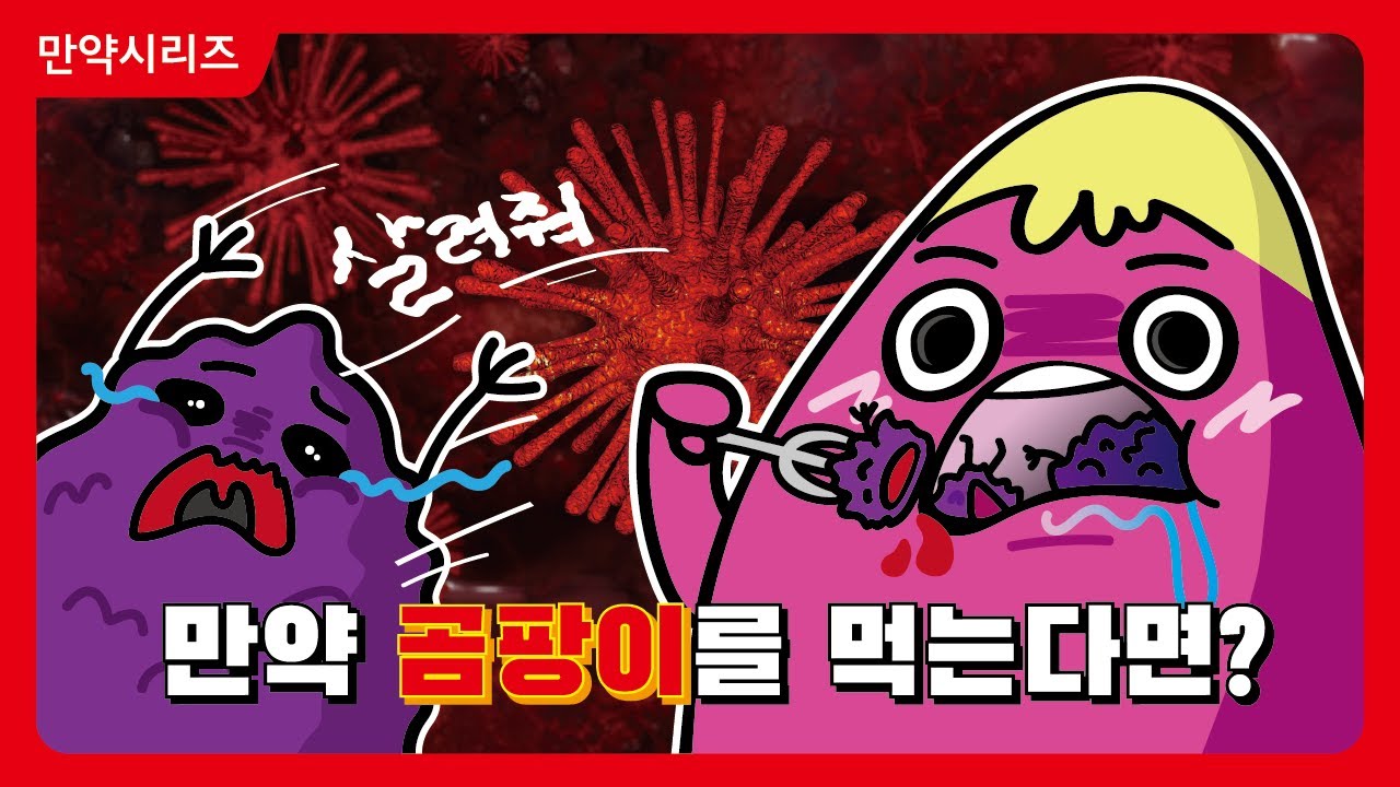 ? 만약 곰팡이가 핀 음식을 먹게 되면 어떻게 될까? (feat. 담배)