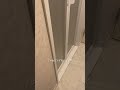 お湯呑みの猫 #猫 #ねこ