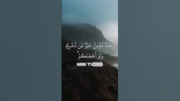 ماهر المعيقلي - سورة البقرة ( برواية حفص عن عاصم ) الأية 221