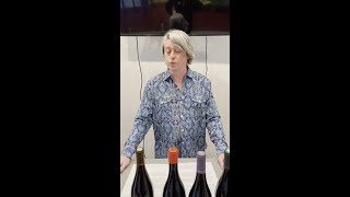 First Customer Tasting of 2023 Pinot Noir