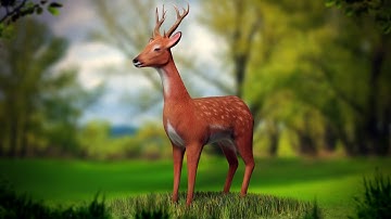 Deer 3d model